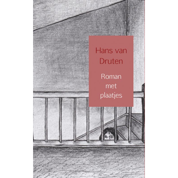 Roman met plaatjes (Paperback) bij Singel 344