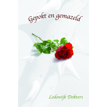 Gepokt en gemazeld (Hardback) bij Singel 344