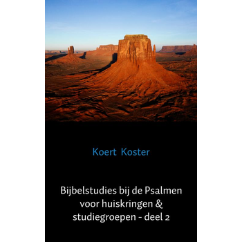 Bijbelstudies bij de Psalmen voor huiskringen & studiegroepen - deel 2 (Paperback) bij Singel 344
