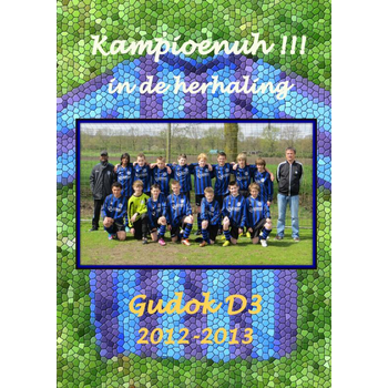 Gudok D3 2012-2013 Kampioenuh!!! in de herhaling (Paperback) bij Singel 344