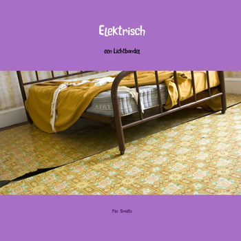 Elektrisch (Paperback) bij Singel 344