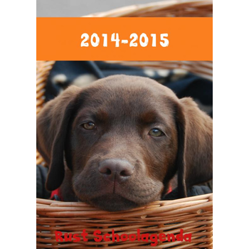 2014-2015 (Paperback) bij Singel 344