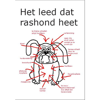 Het leed dat rashond heet (Paperback) bij Singel 344
