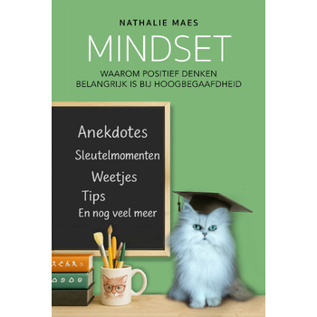 Mindset (Paperback) bij Singel 344