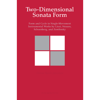 Two-Dimensional Sonata Form (Paperback) bij Singel 344