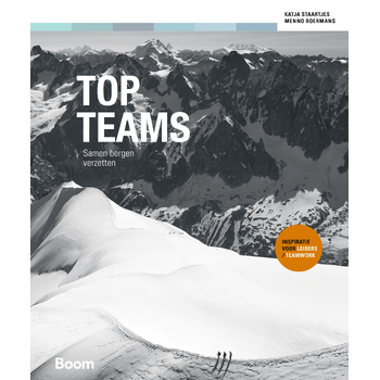 Topteams (Paperback) bij Singel 344