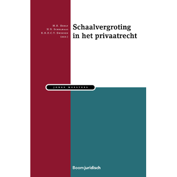 Schaalvergroting in het Privaatrecht (Paperback) bij Singel 344