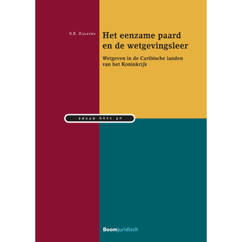 Het eenzame paard en de wetgevingsleer (Paperback) bij Singel 344