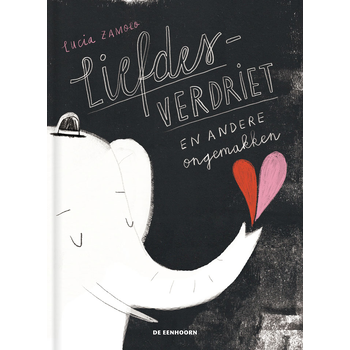 Liefdesverdriet en andere ongemakken (Hardback) bij Singel 344