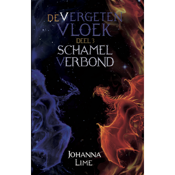 Schamel verbond (Paperback) bij Singel 344