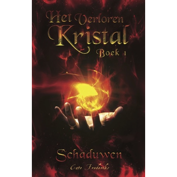 Schaduwen (Paperback) bij Singel 344