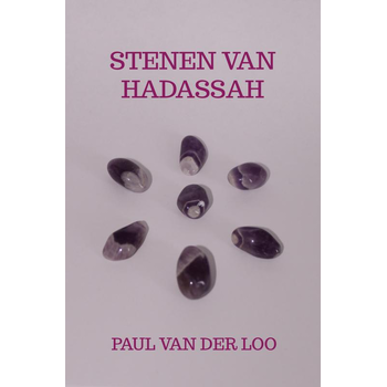 Stenen van Hadassah (Paperback) bij Singel 344