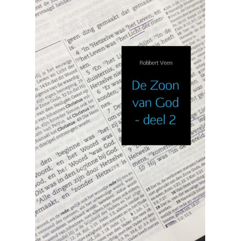 2 Johannes 8:1-14:31 (Paperback) bij Singel 344