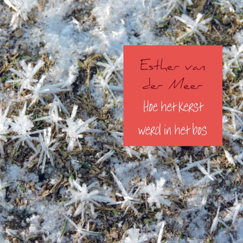 Hoe het kerst werd in het bos (Paperback) bij Singel 344