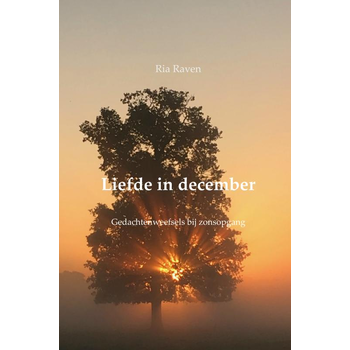 Liefde in december (Hardback) van Ria Raven
