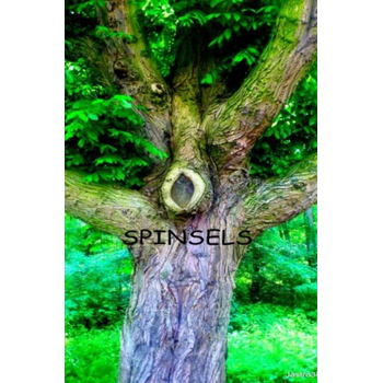 Spinsels (Paperback) bij Singel 344