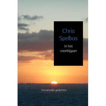 In het voorbijgaan (Hardback) bij Singel 344