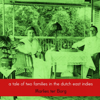 A tale of two families in the Dutch East Indies (Paperback) bij Singel 344