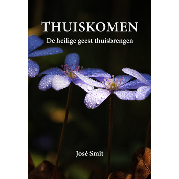 Thuiskomen (Paperback) bij Singel 344