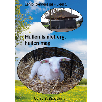 Huilen is niet erg, huilen mag (Hardback) van Corry B. Brauckman