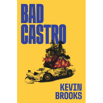 Bad Castro (Paperback) bij Singel 344