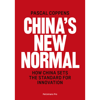 China's New Normal (Paperback) bij Singel 344
