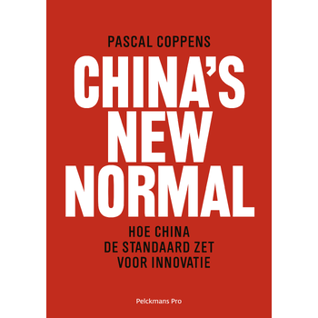 China's New Normal (Paperback) bij Singel 344