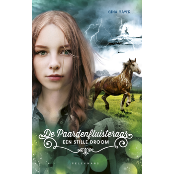 Een stille droom (Hardback) bij Singel 344