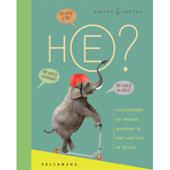 Hoe? (Hardback) bij Singel 344