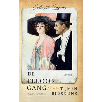 De teloorgang van Tijmen Busselink (Paperback) bij Singel 344