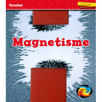 Magnetisme (Hardback) bij Singel 344