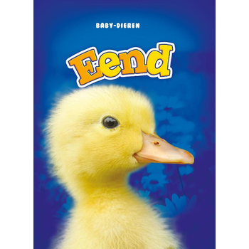 Eend (Hardback) bij Singel 344