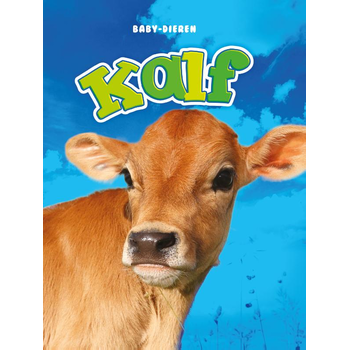 Kalf (Hardback) bij Singel 344