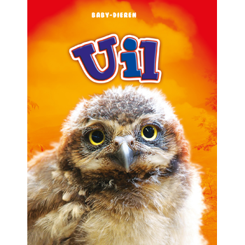 Uil (Hardback) bij Singel 344