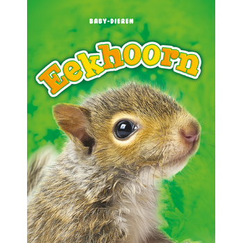 Eekhoorn (Hardback) bij Singel 344