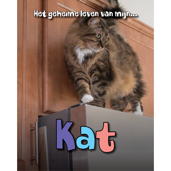 Kat (Hardback) bij Singel 344