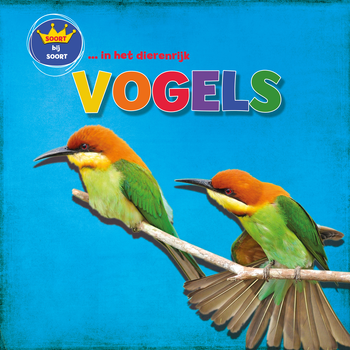Vogels (Hardback) bij Singel 344