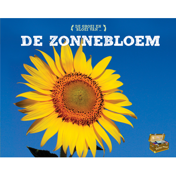 De zonnebloem (Hardback) bij Singel 344