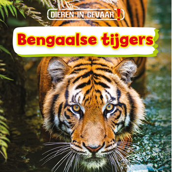 Bengaalse tijgers (Hardback) bij Singel 344