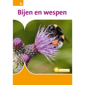 Bijen en wespen (Hardback) bij Singel 344