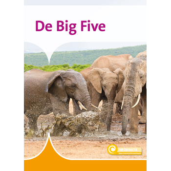 De Big Five (Hardback) bij Singel 344