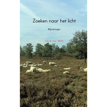Zoeken naar het licht (Paperback) bij Singel 344