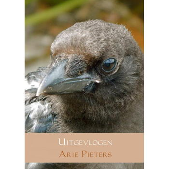 Uitgevlogen (Paperback) bij Singel 344