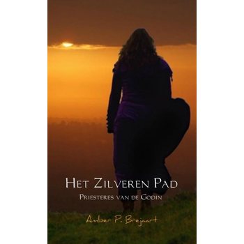 Het zilveren pad (Paperback) bij Singel 344