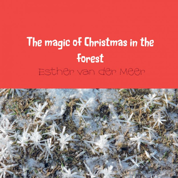 The magic of Christmas in the forest (Paperback) bij Singel 344