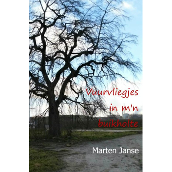 Vuurvliegjes in m'n buikholte (Paperback) bij Singel 344