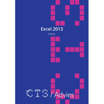 Excel 2013 Basis (Loose-leaf) bij Singel 344