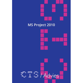 MS Project 2010 (Loose-leaf) bij Singel 344