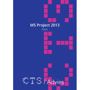 MS Project 2010-2013 Basis (Loose-leaf) bij Singel 344