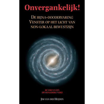 Onvergankelijk! (Paperback) bij Singel 344